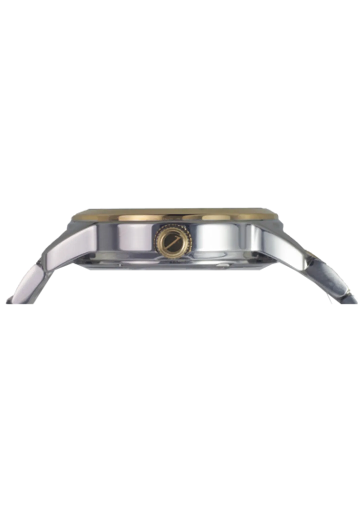 RIVERA 29MM QUARTZ TWO-TONE GOLD WATCH (SILVER DIAL)